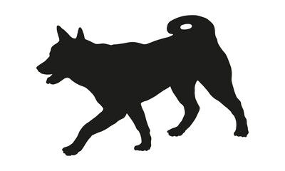 Black dog silhouette. Walking american akita or great japanese dog puppy. Pet animals. Isolated on a white background.