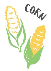 Set of 2 corn cobs hand painted with ink brush