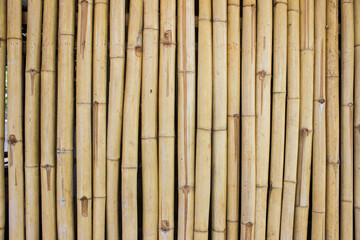 A bamboo texture wall using for a background