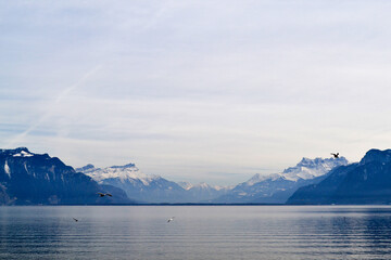 Obraz premium Swiss Alps and Lac Leman