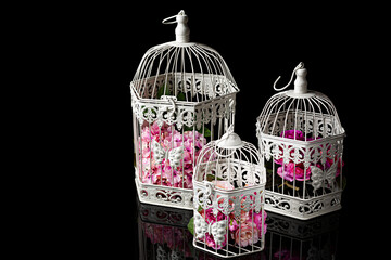 Jaulas con flores rosas para decoración.