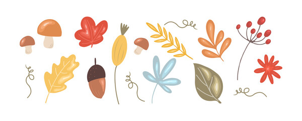 Thanksgiving floral set. Leaves, mushrooms, berries and acorns isolated on white background. Vector illustration in simple cartoon style