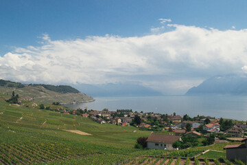 Vineyards and village by the lake
