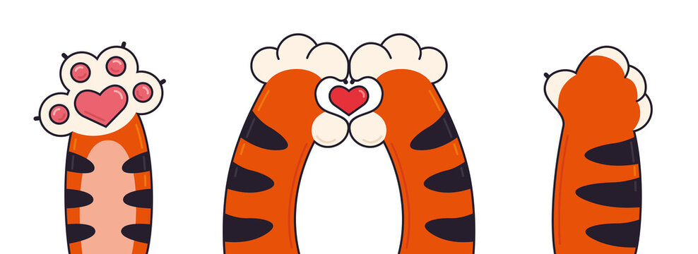 Drawn vector design of cartoon tiger paws with small hearts. The tiger's striped paws show a heart, cartoon funny style.
