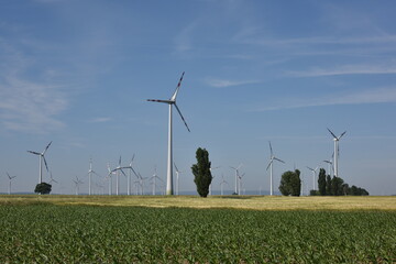 Windräder zur Stromerzeugung (Windpark) nächst Petronell, Österreich, 15.06.2021
