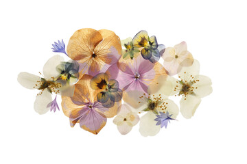 Pressed dried flowers on white background, top view. Beautiful herbarium