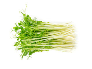 Snow pea sprouts on white background