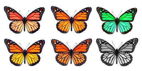 Fototapeta na wymiar set of monarch butterflies. multicolored colorful monarch butterflies isolated on white.