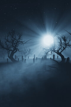 moon light in dark graveyard at night