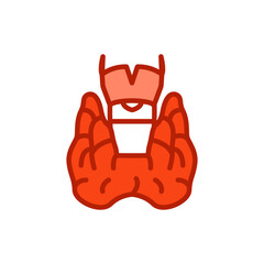 Thyroid gland color line icon. Isolated vector element.