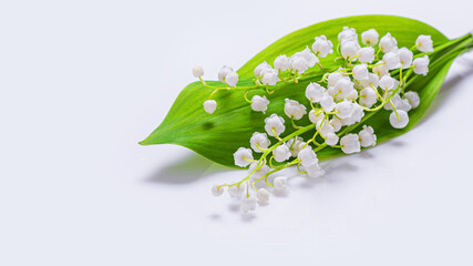 Flower background - bouquet of lily of the valley, Convallaria majalis, isolated on the white...