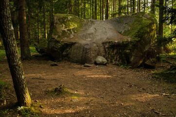 Big stone in forest, who looks like bench, Latvia.