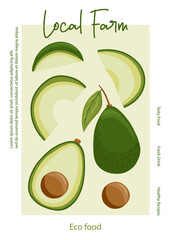 Vector avocado cartoon illustration for local farm market banner template. Healthy organic avocados with leaves.
