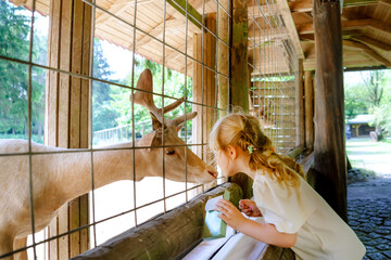 Obraz na płótnie Canvas Adorable cute preschool girl feeding little wild deer in a wild animal forest park. Happy child petting animals on summer day. Excited and happy girl on family weekend, children activity in summer.
