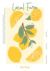 Fruit lemon juice packaging design. Lemon fruits on branch with leaves vector hand drawn card design with text.