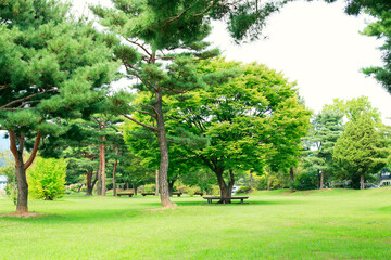 Green Park You Want to Take a Break