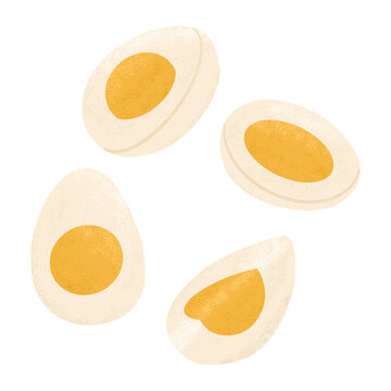Boiled eggs, half and sliced vector hand drawn illustration isolated on white background. Healthy organic food.