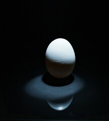 egg on black