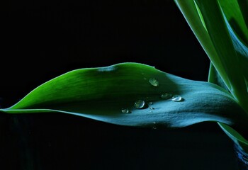 world map © Carsten