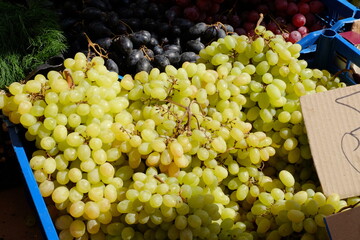 bunches of green grapes in the bazaar

