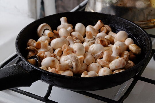 champignons are fried in a black pan close up