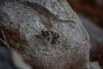 close up of bread