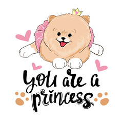 Beautiful little spitz dog girl and the inscription you are a princess. Vector cartoon illustration for kids t-shirt design