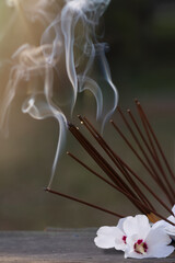 Incense sticks for meditation, white mallow flowers on a wooden table outdoors. Smoke from white backlit incense sticks. Background for design. Vertical format. Copyspace