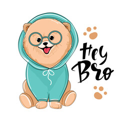 Cute summer spitz and the inscription hey bro. Vector cartoon illustration design for t-shirts. Birthday card