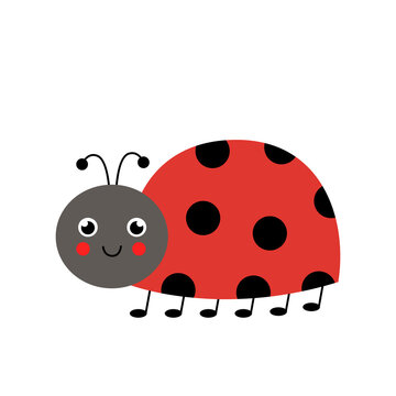 Cute vector ladybug isolated on white background.