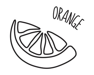 Orange slice hand drawn with thin line
