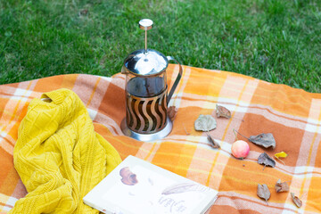 picnic in the park in autumn