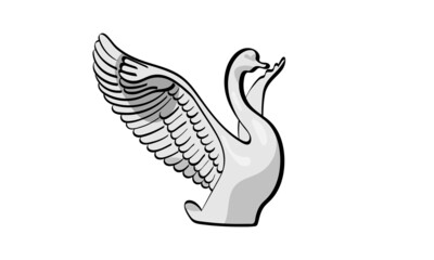 Vector drawing of a lovely swan