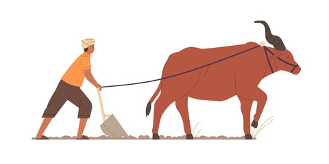 Indian farmer plowing with traditional primitive plough and ox. Farm worker and zeby on agriculture field in India. Man work on Asian farmland. Flat vector illustration isolated on white background - obrazy, fototapety, plakaty