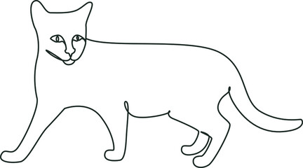 A graceful cat with a smooth coat. Vector line art illustration.