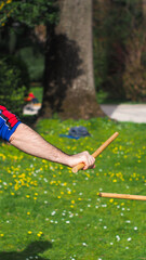 Des pratiquants d'un art martial nommé « Tai Ji Quan » s'entraînent dans le Jardin des plantes,...