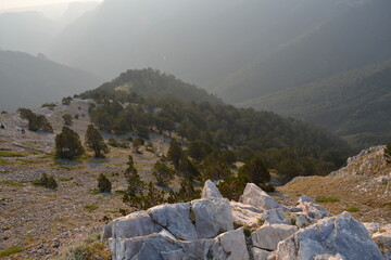 landscape in the mountains