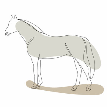 recommend clip art: vector, isolated horse one line drawing, sketch