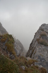 fog in the mountains