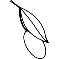 Kawaii citrus tropical exotic fruit kumquat. Doodle digital art outline. Print tattoo, sticker, postcard, brand, logo, packaging