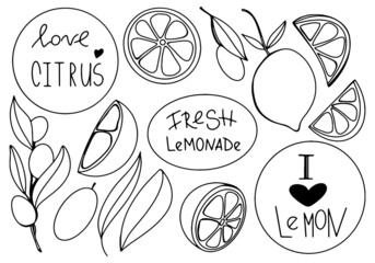 Kawaii lettering love lemon, citrus and leaf slices. Doodle digital art outline. Print tattoo, sticker, postcard, brand, logo, packaging