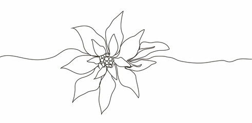 Continuous one line drawing. Concept  holiday, poinsettia flower isolated on white background. hand-drawn,  close-up. modern design. for print, banner, card, paper, poster. vector illustration