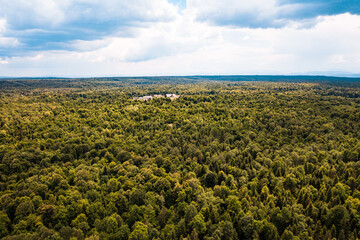Deforestation by total illegal logging, top view.