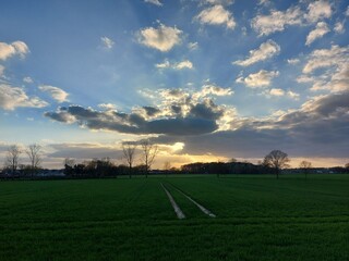 Am Horizont breitet sich die D&auml;mmerung aus. B&auml;ume sind nur als Silhouetten zu sehen. Der Himmel ist blau und wird dunkler. Die Farben der Nacht in der Natur. Es ist mit Schlaf, Ruhe, Entspannung nah. 