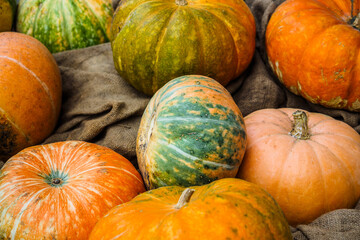 Pumpkins on the autumn city street. Decorating the city to celebrate Halloween. Ugly pumpkins Halloween concept lifestyle composition