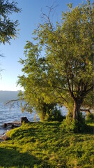 Small pier by the lake