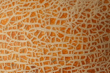 Melon peel texture all over background, close up
