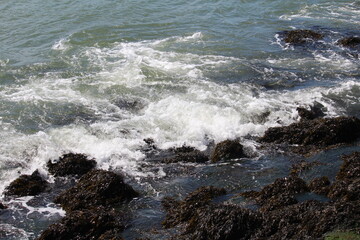 waves crashing on rocks