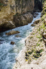 The mountain river flows into the gorge on a summer day.