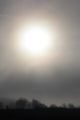 sun in the fog